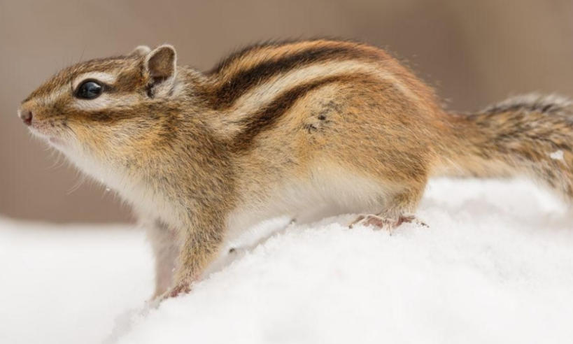 郑州鼎媒视讯传媒有限公司轮播图5