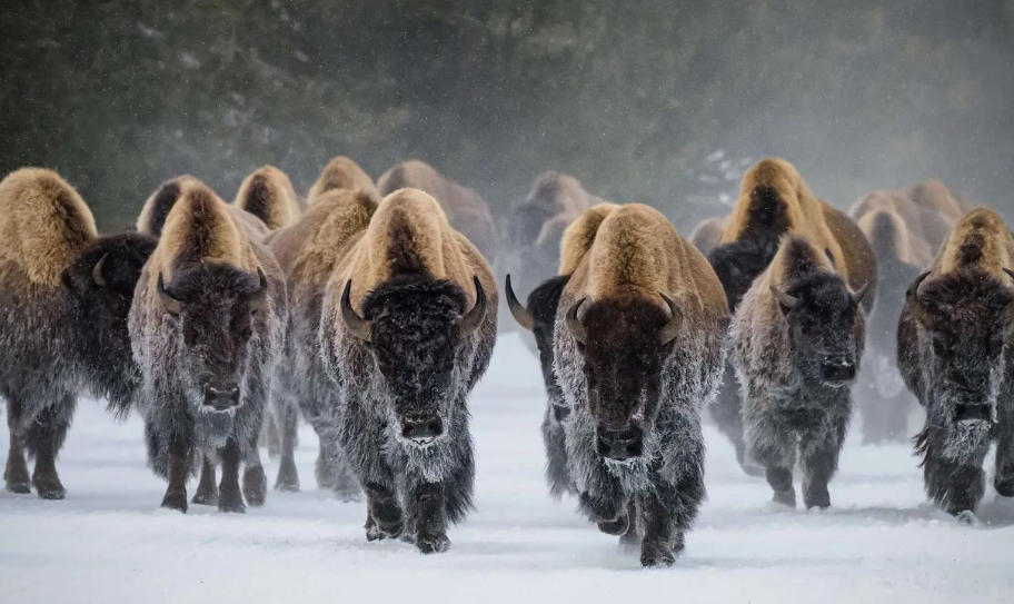 郑州鼎媒视讯传媒有限公司轮播图1