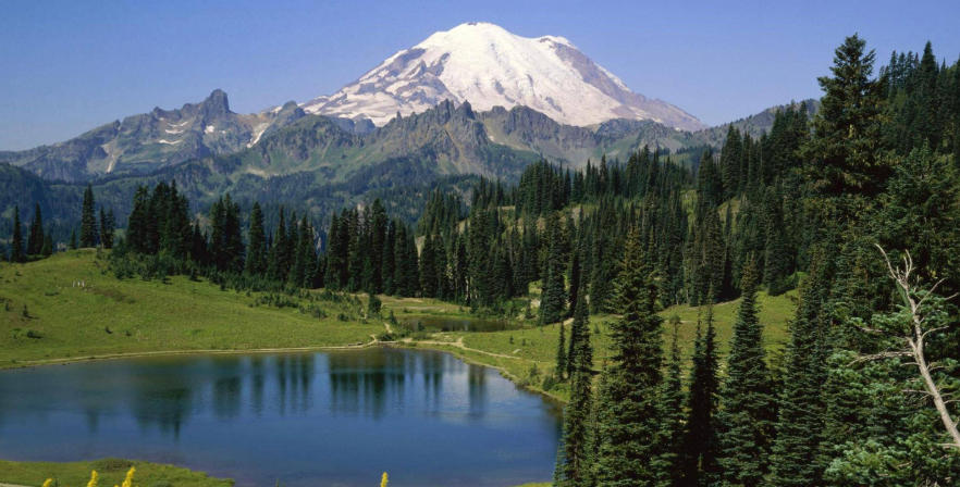 郑州鼎媒视讯传媒有限公司轮播图2